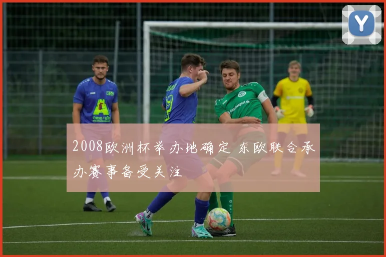 2008欧洲杯举办地确定 东欧联合承办赛事备受关注