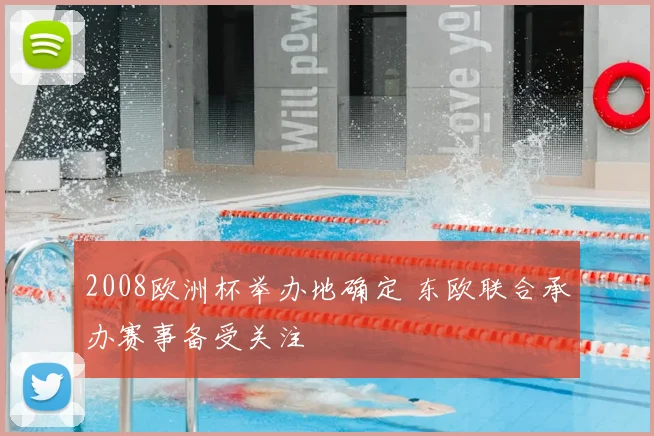2008欧洲杯举办地确定 东欧联合承办赛事备受关注
